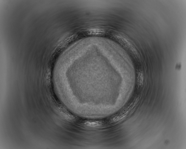 X0000097920557200804041526