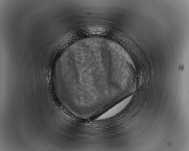 X0000097920559200804041526