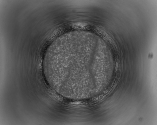 X0000097920561200804041526