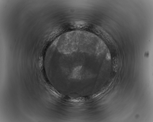 X0000097920563200804041526