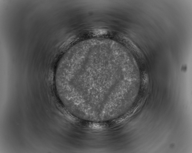 X0000097920565200804041526