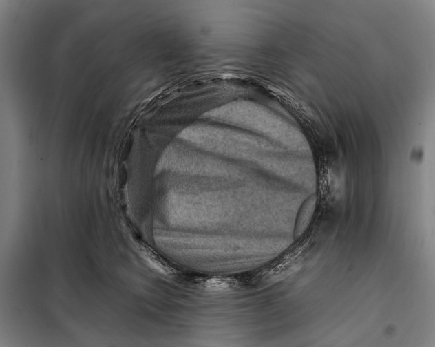 X0000097920566200804041526