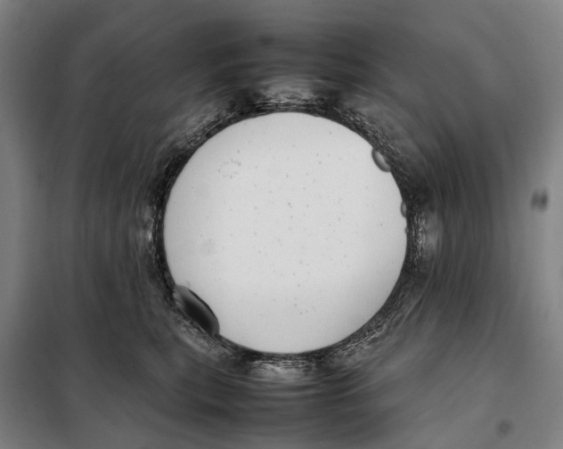 X0000097920567200804041526