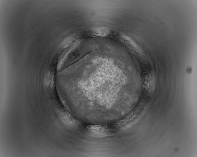 X0000097920568200804041526