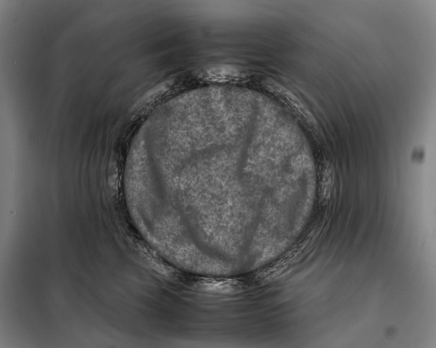 X0000097920569200804041526