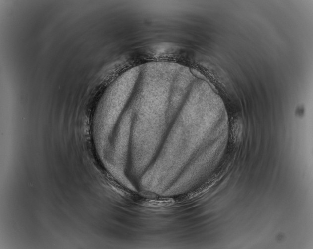 X0000097920571200804041526