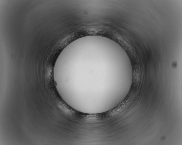 X0000097920574200804041526