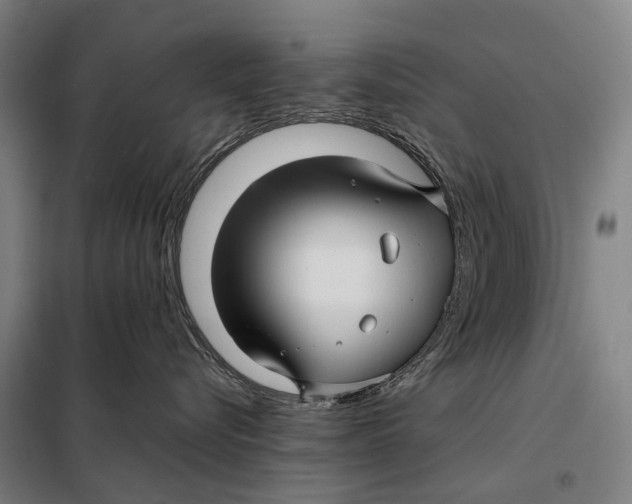 X0000097920576200804041526