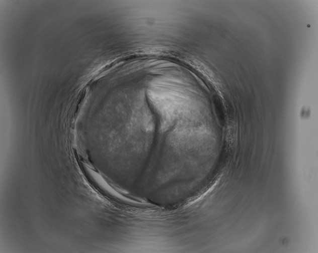 X0000097920577200804041526