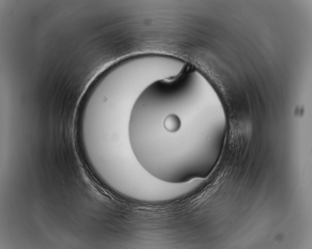 X0000097920580200804041526