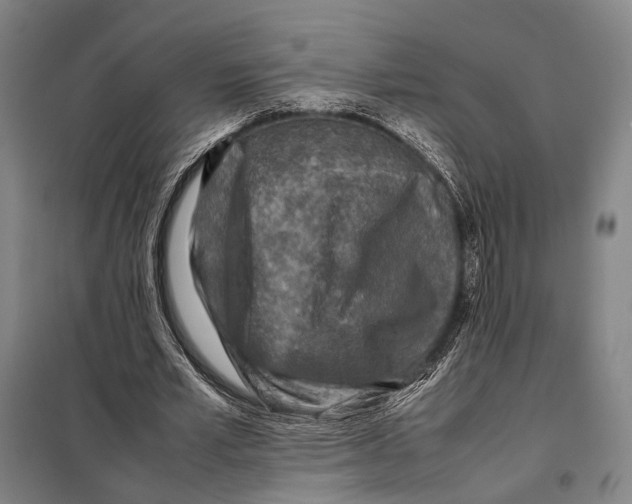 X0000097920581200804041526