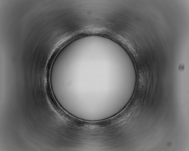 X0000097920582200804041526