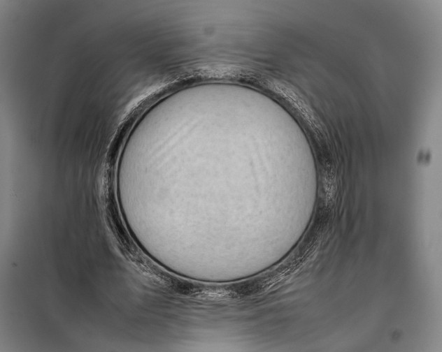 X0000097920583200804041526