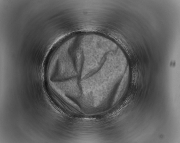 X0000097920584200804041525