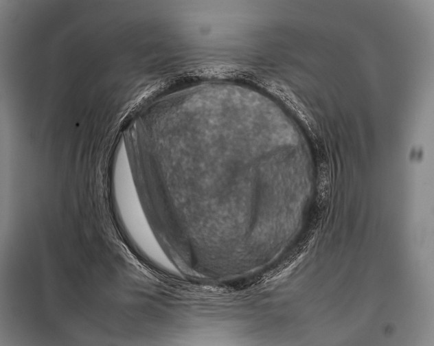 X0000097920585200804041525