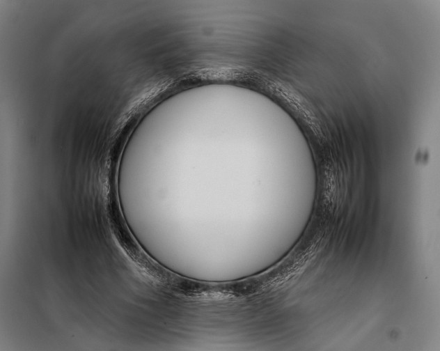 X0000097920586200804041525