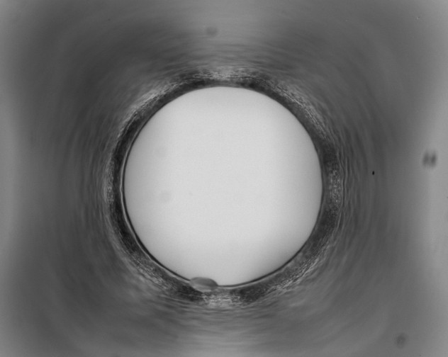 X0000097920587200804041525