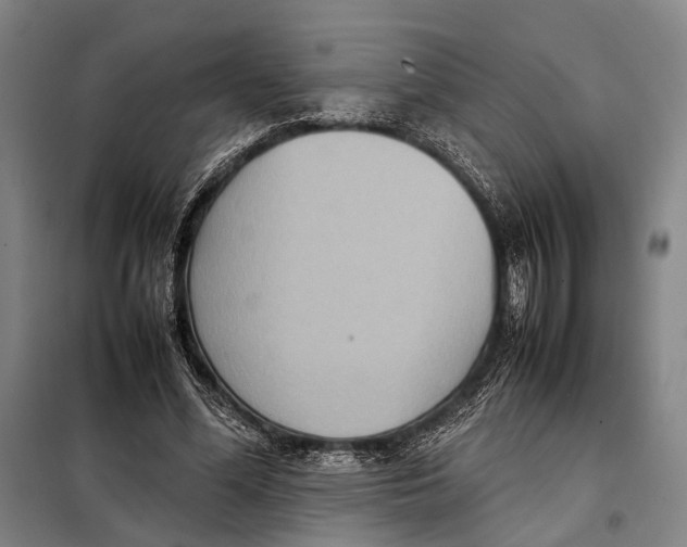 X0000097920588200804041525