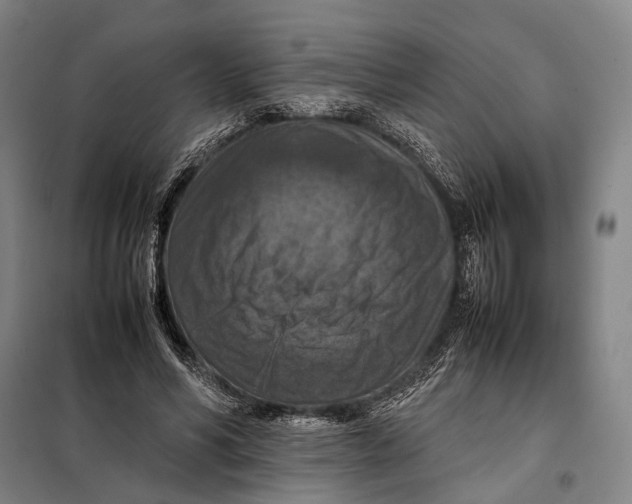 X0000097920590200804041525