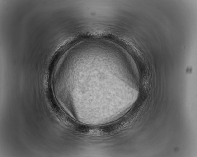 X0000097920591200804041525