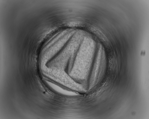 X0000097920592200804041525