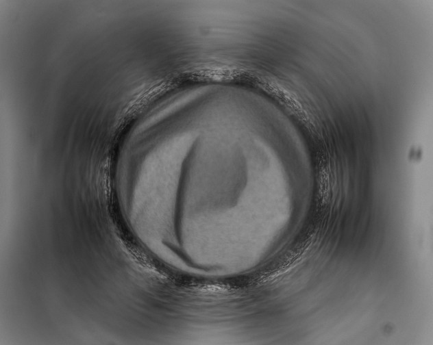 X0000097920594200804041525