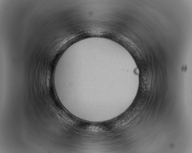 X0000097920596200804041525