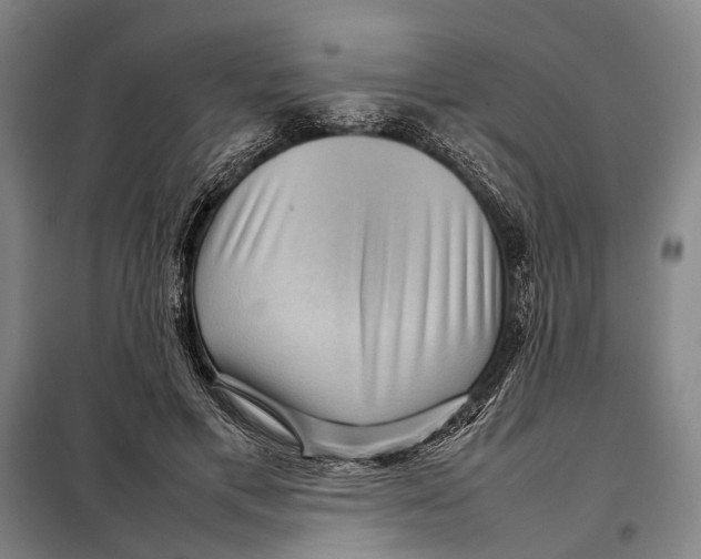 X0000097920597200804041525