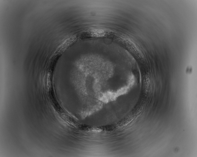 X0000097920598200804041525