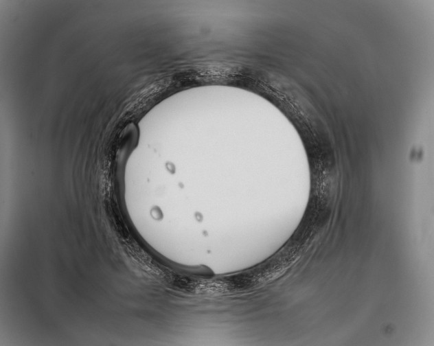 X0000097920599200804041525