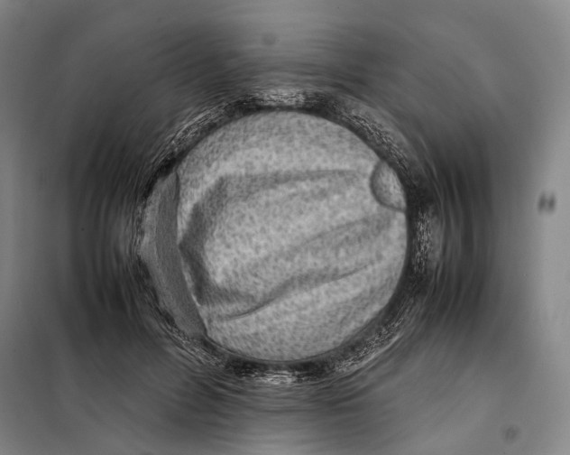 X0000097920600200804041525