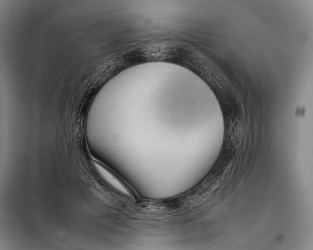 X0000097920601200804041525