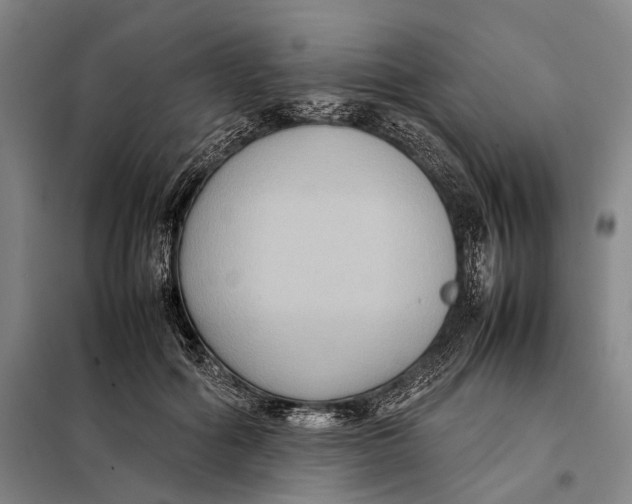 X0000097920602200804041525