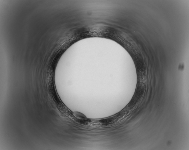 X0000097920603200804041525