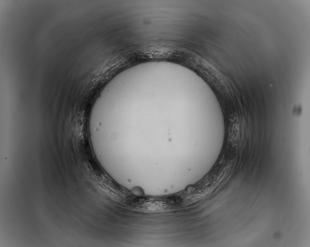 X0000097920604200804041525