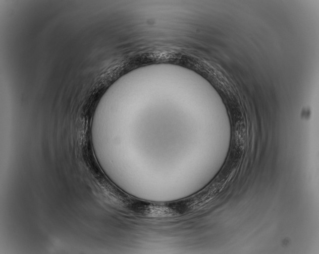 X0000097920605200804041525