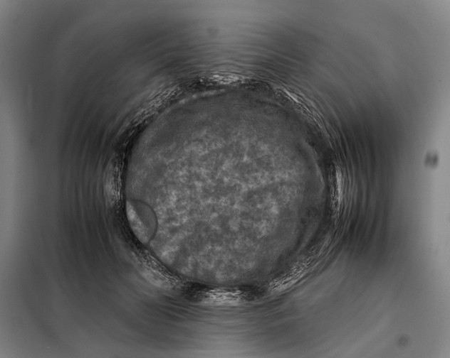 X0000097920606200804041525