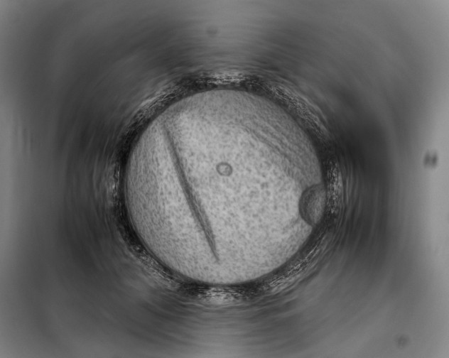 X0000097920608200804041525