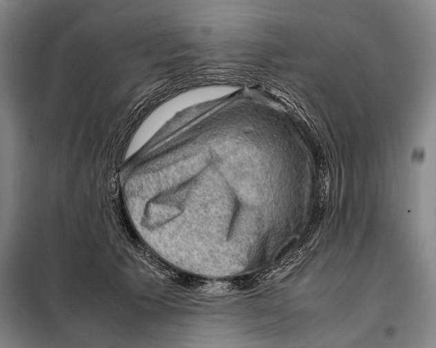 X0000097920609200804041525