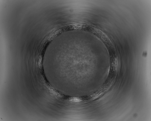 X0000097920610200804041525