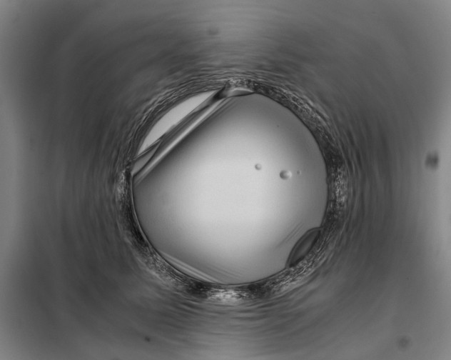 X0000097920611200804041525