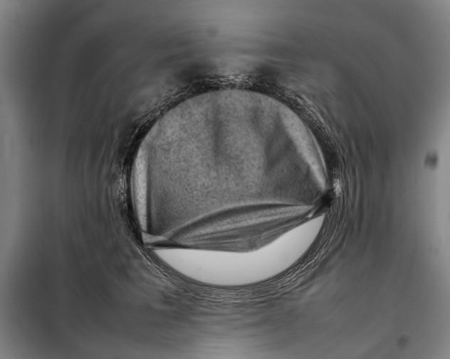 X0000097920613200804041525