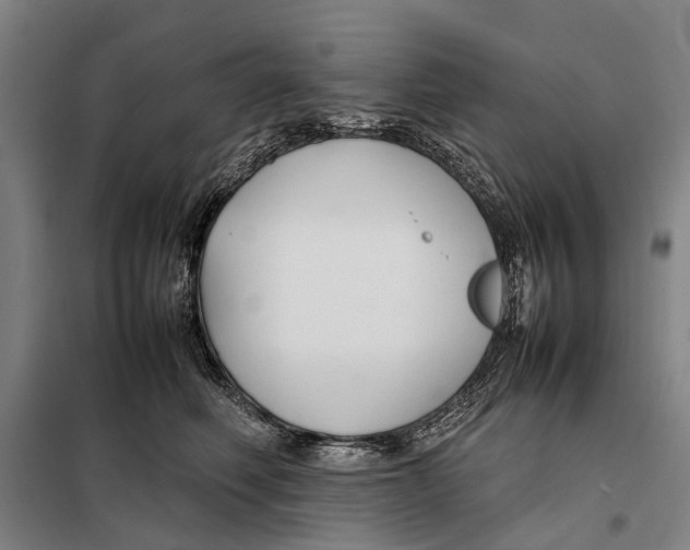 X0000097920614200804041525