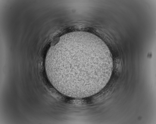 X0000097920615200804041525