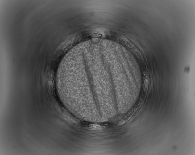 X0000097920616200804041525