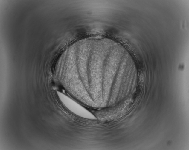 X0000097920617200804041525