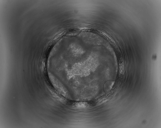 X0000097920618200804041525