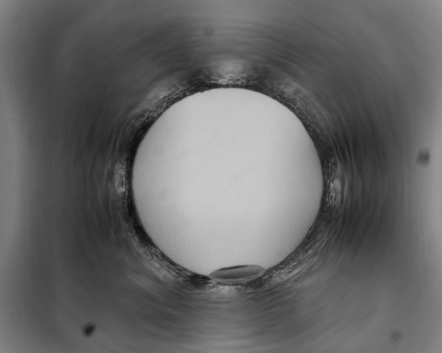 X0000097920620200804041525