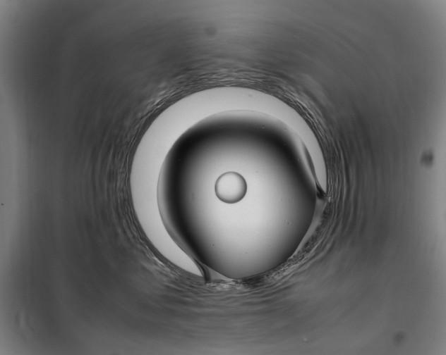 X0000097920621200804041525