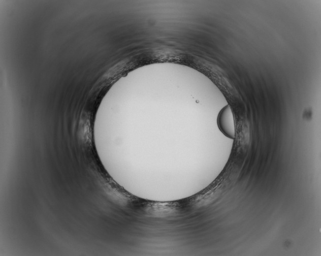 X0000097920622200804041525